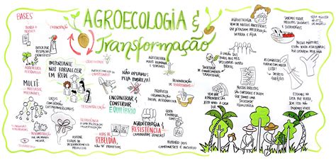 Agroecologia E Transforma O Agroecologia Em Rede