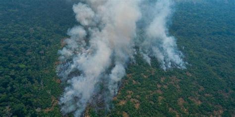 La Deforestaci N En La Amazon A Amenaza Con Nueva Ola De Incendios