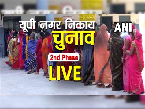 Up Nikay Chunav Live Update निकाय चुनाव में 6 बजे तक इतने फीसदी पड़े