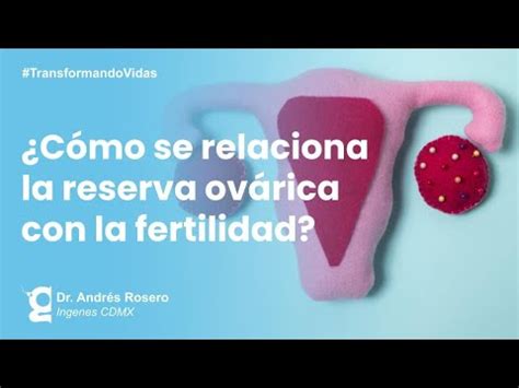 Reserva Ov Rica Y Fertilidad Ingenes Youtube