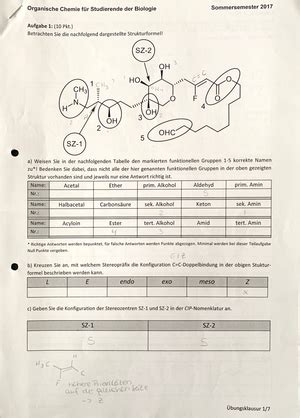 OC Biologen SS 2010 Uebungen 6 Griesbeck Welther 6 Übungen zur VL