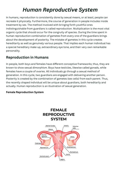 SOLUTION: Human reproductive system - Studypool