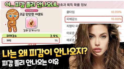 쿠키런 킹덤 토핑작 피감6 확률 유튜브 최초 공개 Youtube