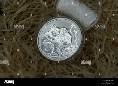 1 Dollar Australian Koala 2023 Pure Silver Investment Coin Stock Photo