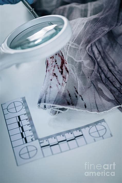 Forensics Expert Examining Crime Scene Evidence Photograph By Microgen Images Science Photo