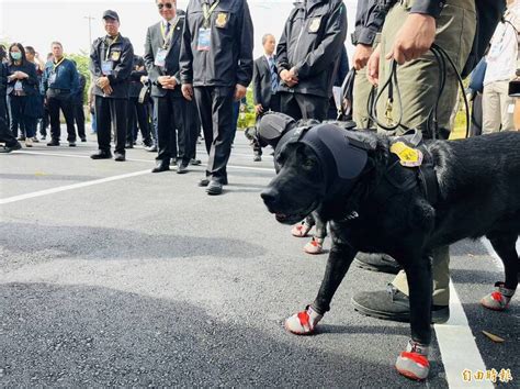 「安維八號」秀戰技 偵爆犬找炸藥、特勤模擬制伏持槍歹徒 自由軍武頻道