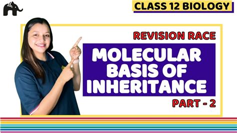 Molecular Basis Of Inheritance Class 12 Biology Ncert Chapter 6