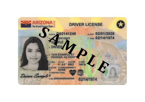 New Driver License Design Copperstatenews