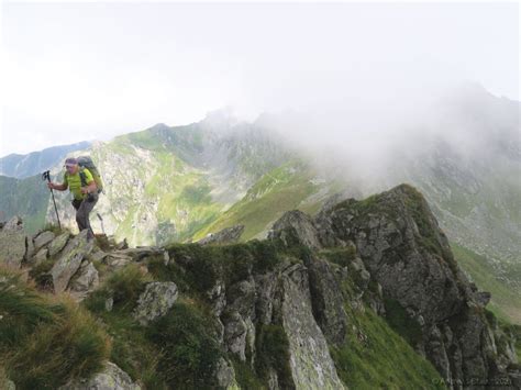 Mehr Beeren als Bären Berge und Kultur in Siebenbürgen 2021 Sektion