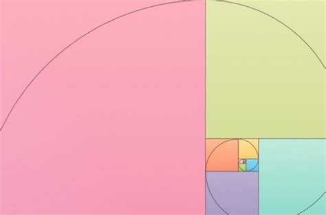 Sequ Ncia De Fibonacci Entenda O Que E Como Funciona Exemplos