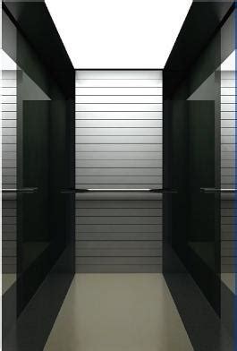 Fuji Mirror Stainless Steel Indoor Commercial Ac Drive Passenger Lifts