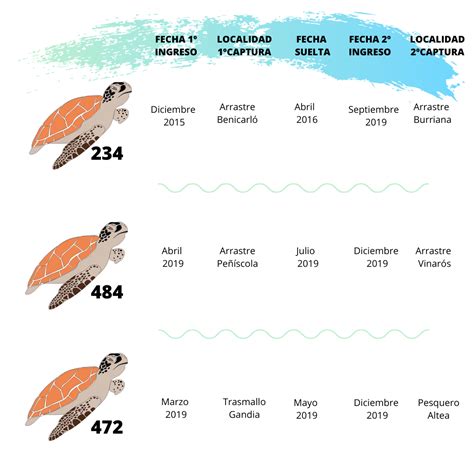 Gr Fico De Las Tres Tortugas Oceanogr Fic De Val Ncia