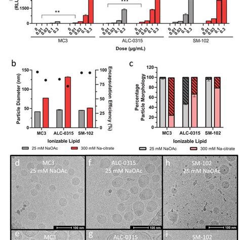 Pdf Induction Of Bleb Structures In Lipid Nanoparticle Formulations