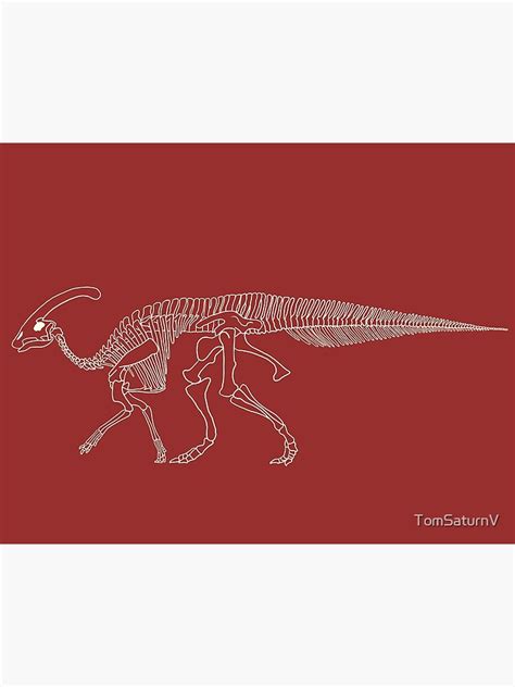 "Parasaurolophus Fossil Skeleton " Poster for Sale by TomSaturnV ...