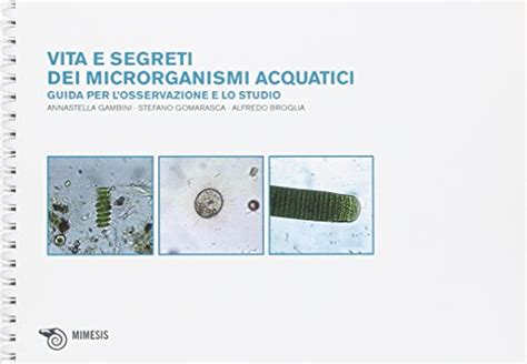 Vita Dei Microrganismi Acquatici Guida Per L Osservazione E Lo Studio