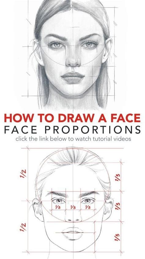 How To Draw A Face Face Proportions Face Drawing Face Proportions Drawing Face Proportions