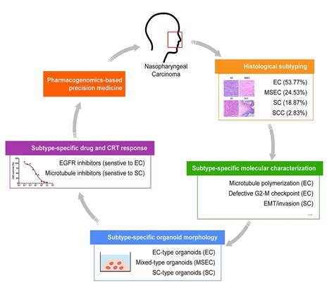 UM Achieves Major Breakthrough In Nasopharyngeal Carcinoma Treatment