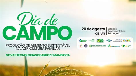 Emater Goiás promove Dia de Campo para apresentação de cultivares de