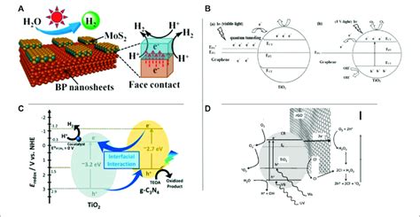 A Schematic Diagrams Of 2d 2d Bp 10000mos 2 Photocatalysts