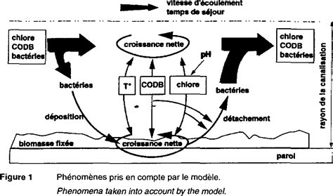 Figure From Mod Lisation Du Comportement Des Biomasses Bact Riennes