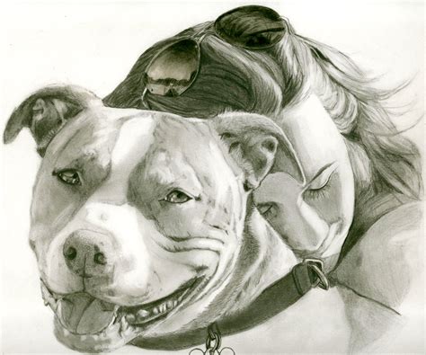 Pitbull Sketch Drawing at GetDrawings | Free download