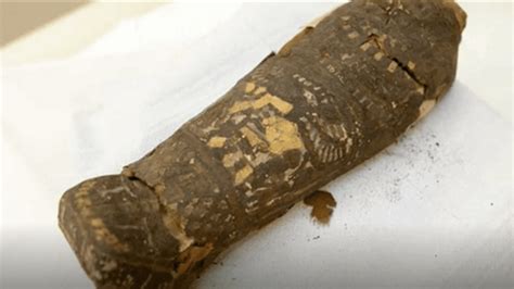 Sarcophagus Thought To Contain Mummified Hawk Holds Something Much More ...