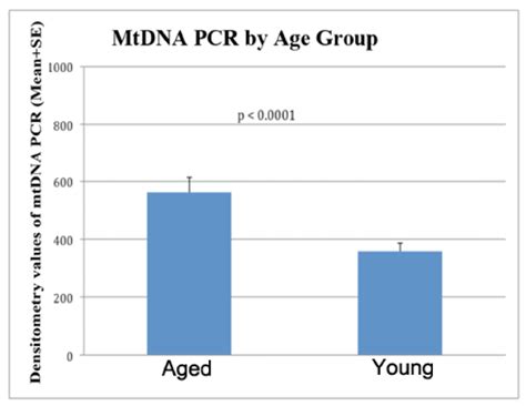 Densitometry Of Mtdna Pcr By Age Significantly Increased Mtdna