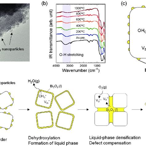 Microstructure And Densification Mechanism Of The Hydrothermal Bkt