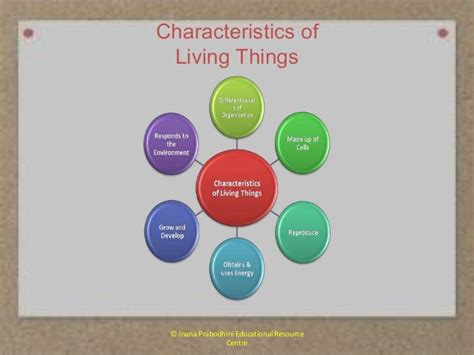 Characteristics of Living Things