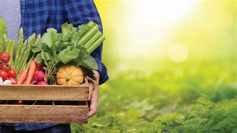 The Top Vegetable Crops in 2020 - Growing Produce