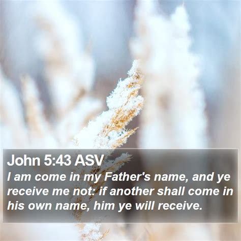 John 543 Asv I Am Come In My Fathers Name And Ye Receive Me