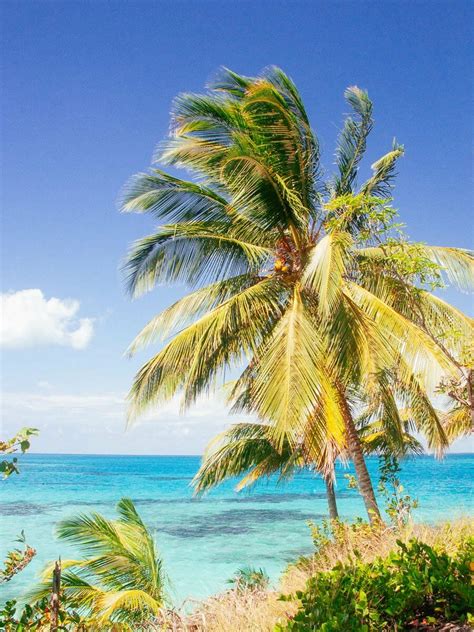 Las Playas Más Bonitas De Colombia Mi Viaje Por Colombia