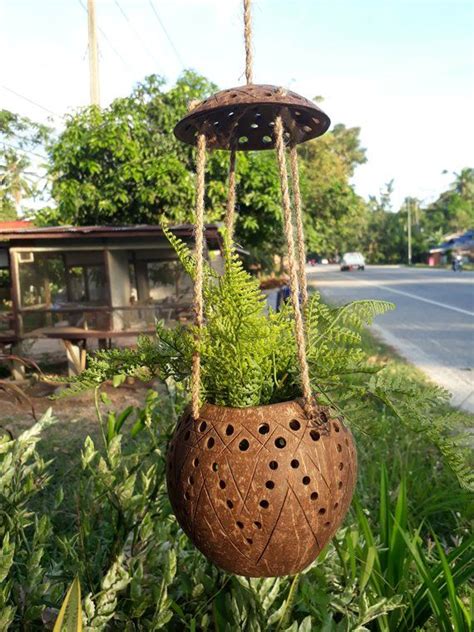 Outstanding Coconut Shell Plant Hanger Living Wall Planter Diy