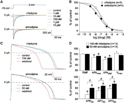 Effects Of Nifedipine And Amlodipine On The L Type Calcium Current I