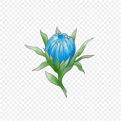 Hermosa Dibujado A Mano Planta Flor Png Dibujos La Original Flor Png