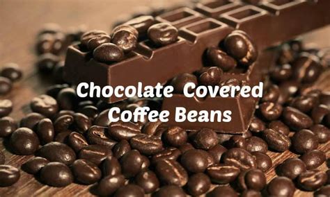 Chocolate Covered Coffee Beans