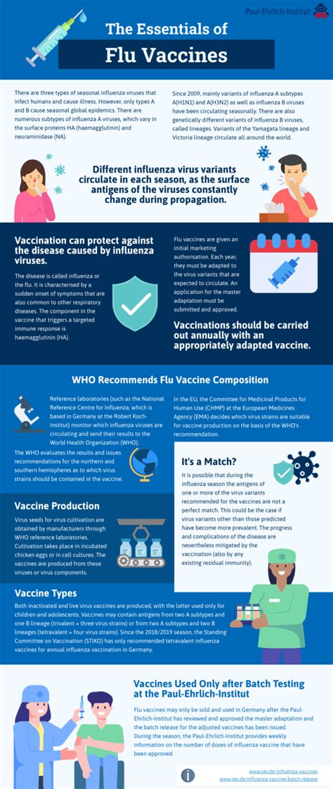 Infographics Infographic The Essentials Of Flu Vaccines Paul