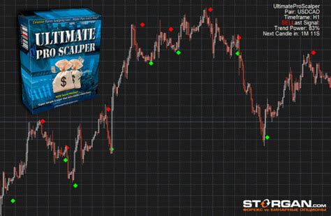 Give You Ultimate Pro Scalper Indicator For Forex Trading By Madush60