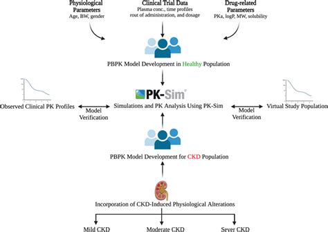 Frontiers Physiologically Based Pharmacokinetic Modeling For Single