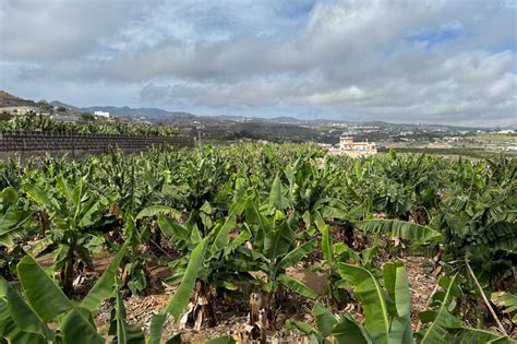 Review: Paradisus by Meliá All-Inclusive Resort in Gran Canaria