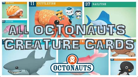 Octonauts Creature Cards All In One Learn About Sea Animals Youtube