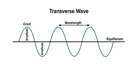 Name The Factors On Which The Speed Of The Transverse Waves On A String