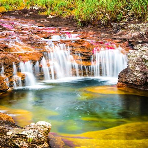 Caño Cristales Colombia s Beautiful Liquid Rainbow Natural