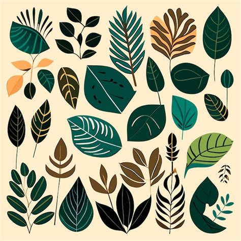 Premium Vector Vector Rainforest Leaf Collection Flat Design Elements