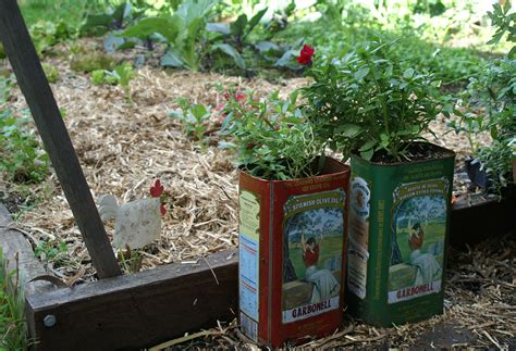 Planning your garden – To raise or not to raise… | Suburban Tomato