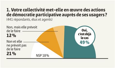 La D Mocratie Participative Locale Avance Pas De Fourmi