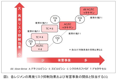 総説 Ⅲ．早期乳癌（病期Ⅰ Ⅲa）病期 0以外に対する治療 総説 乳癌診療ガイドライン2022年版