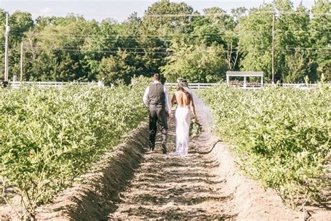 Dimeo Farms Weddings In New Jersey Cherished Wedding Venues