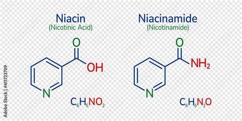 Niacin And Niacinamide Skeletal Formula Vector Illustration