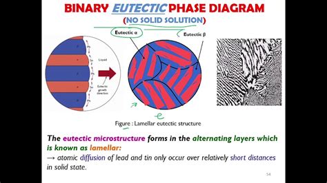 Solid Solution Phase Diagram Eutectic Phase Diagram Showing